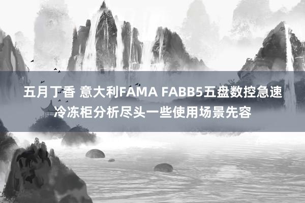 五月丁香 意大利FAMA FABB5五盘数控急速冷冻柜分析尽头一些使用场景先容