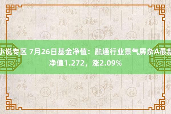 小说专区 7月26日基金净值：融通行业景气羼杂A最新净值1.272，涨2.09%