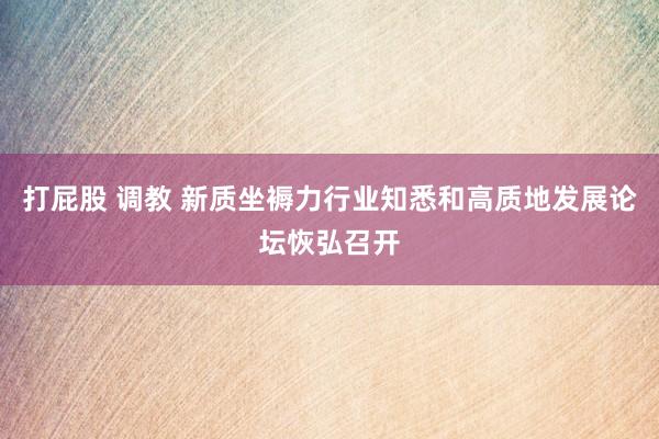 打屁股 调教 新质坐褥力行业知悉和高质地发展论坛恢弘召开