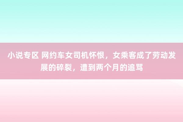 小说专区 网约车女司机怀恨，女乘客成了劳动发展的碎裂，遭到两个月的追骂