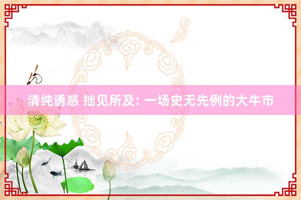 清纯诱惑 拙见所及: 一场史无先例的大牛市