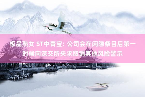 极品熟女 ST中青宝: 公司会在闲隙条目后第一时候向深交所央求取销其他风险警示